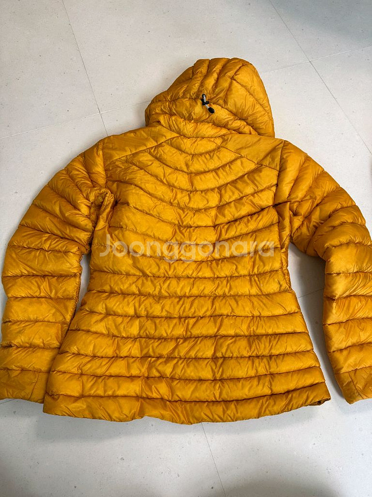 아크테릭스 세륨LT--0