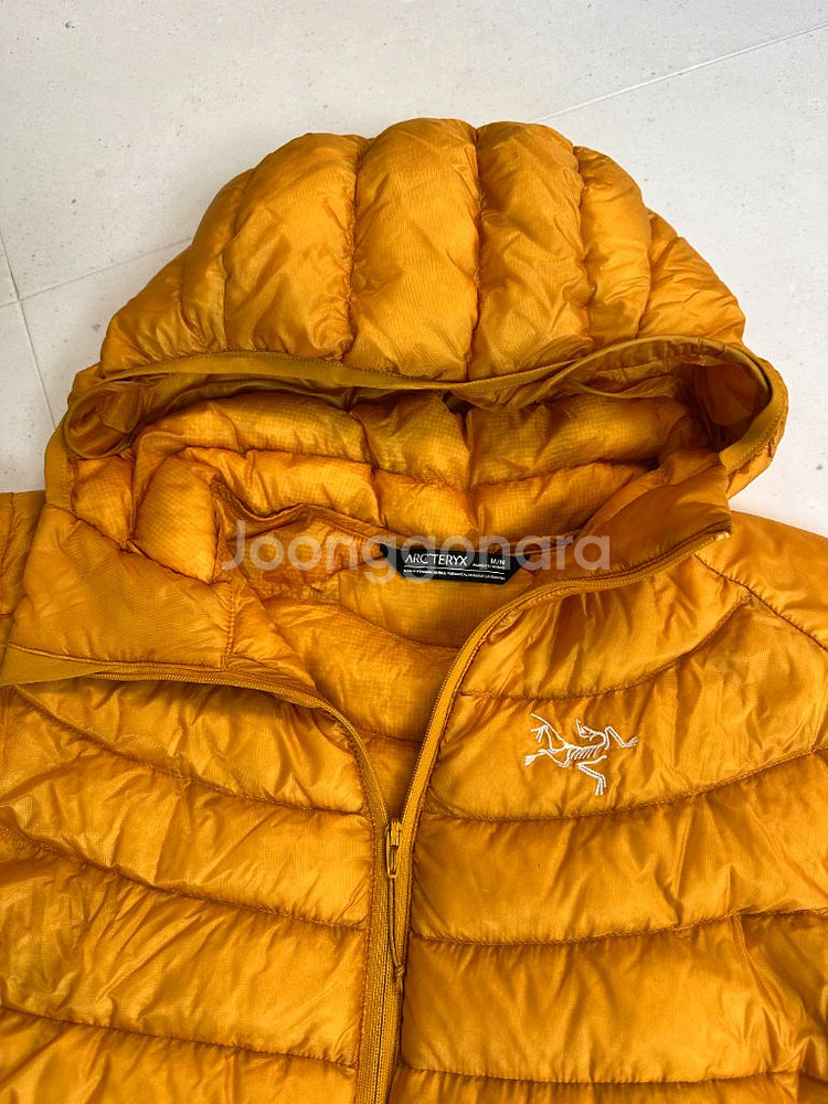 아크테릭스 세륨LT--5