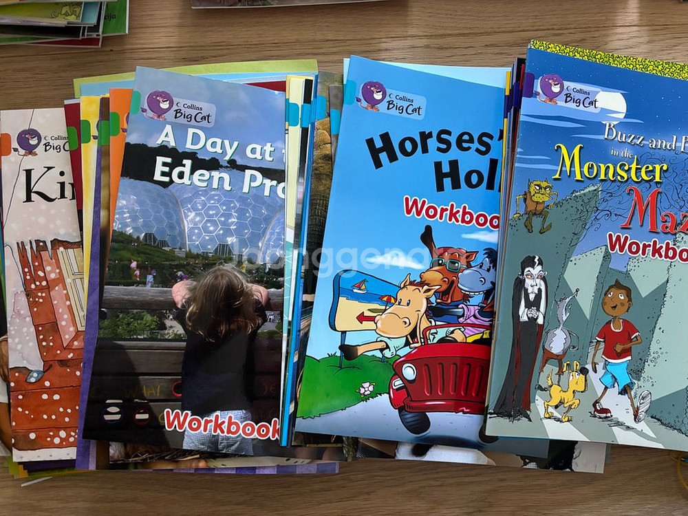 수퍼맘 잠수네 빅캣리더스 Big cat--1