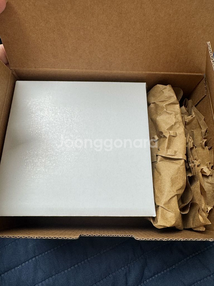 스타벅스 미피 머그 컵--1