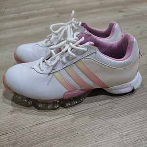 아디다스 골프 여성가죽 골프화 230mm