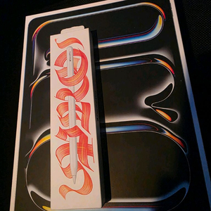 아이패드 프로 13인치 M4 셀룰러 256GB. 애케플