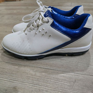 닥스골프 골프화 265mm