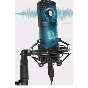 브리츠 콘덴서 마이크