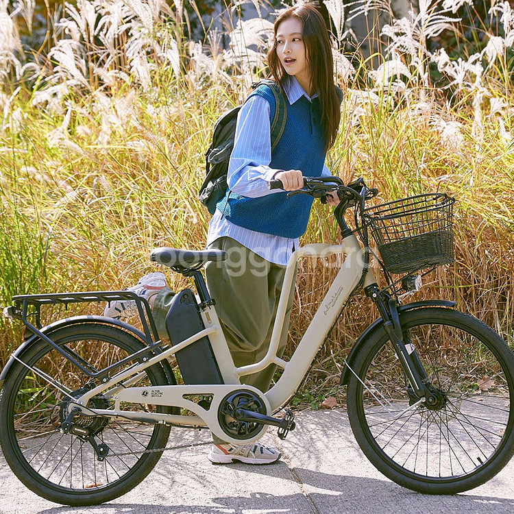 알톤 알마타247 전기자전거 20ah--1