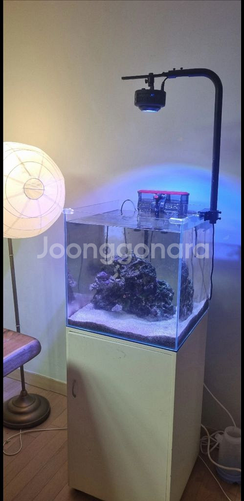 해수어항 2개판매--0