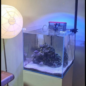 해수어항 2개판매