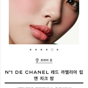 샤넬 레드 까멜리아 립앤치크 밤 헬시핑크