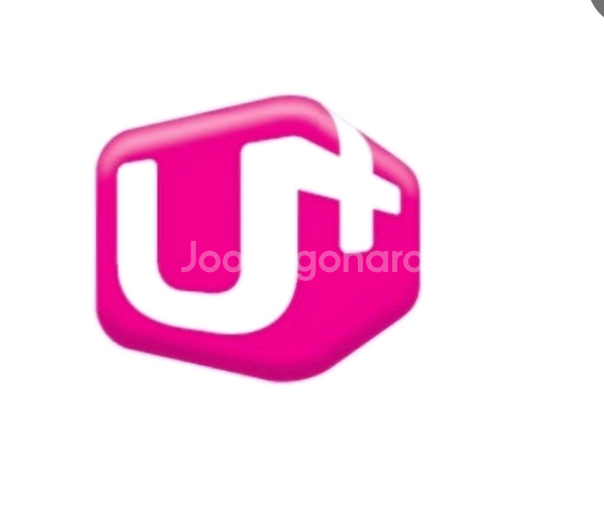 lg 유플러스 데이터 2기가--0