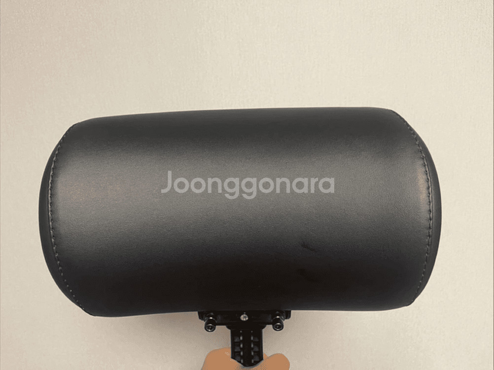 퍼시스 헤드레스트--1