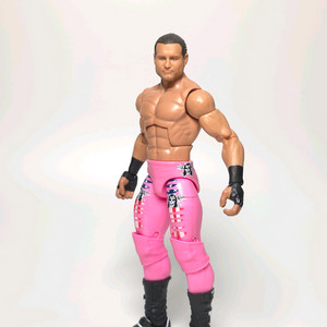 wwe 피규어 돌프 지글러 서머슬램