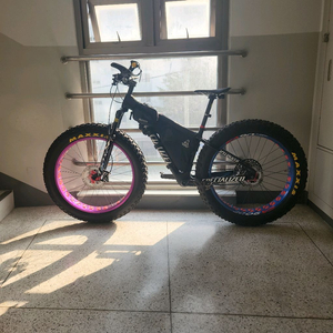 팻 바이크 습샬팻보이익스커스텀 팜니다