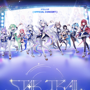 *최저가* 스텔라이브 취켓팅 4만원