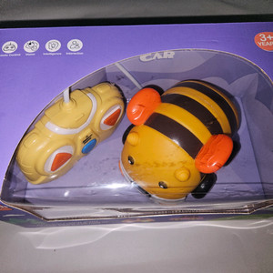 아동용 꿀벌 RC카 세트