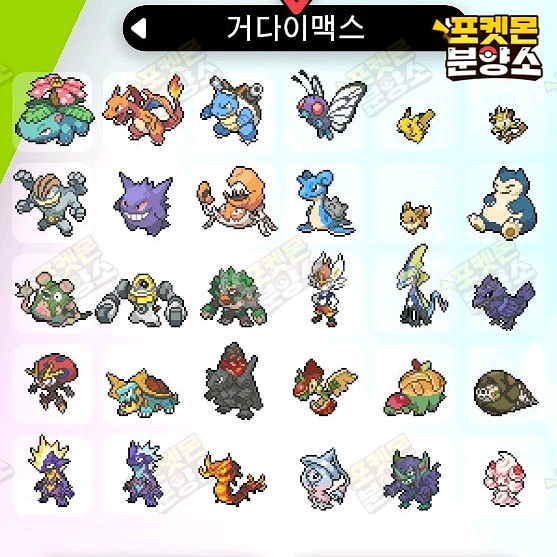 거다이맥스 포켓몬 분양 / 소드 실드 / 닌텐도 스위치--0