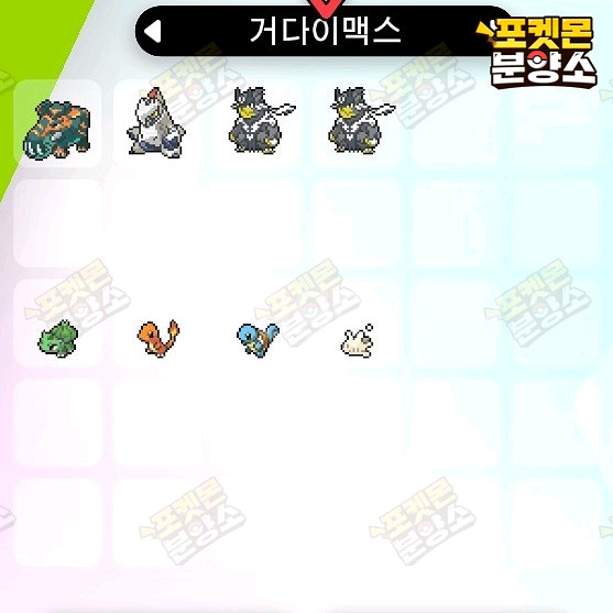 거다이맥스 포켓몬 분양 / 소드 실드 / 닌텐도 스위치--1