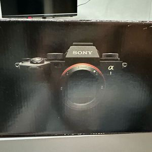 소니 A1 미러리스 카메라