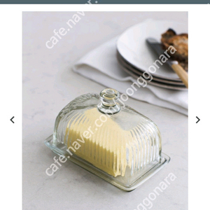 가든 트레이딩(Garden Trading) 유리 버터디