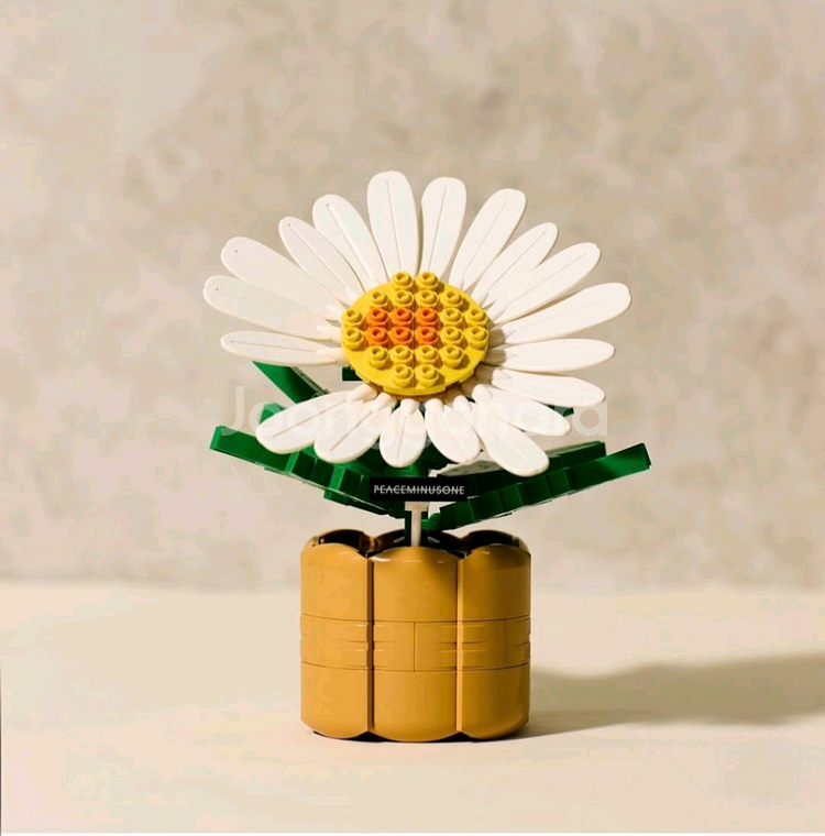 GD 지드래곤 818 bloom--4