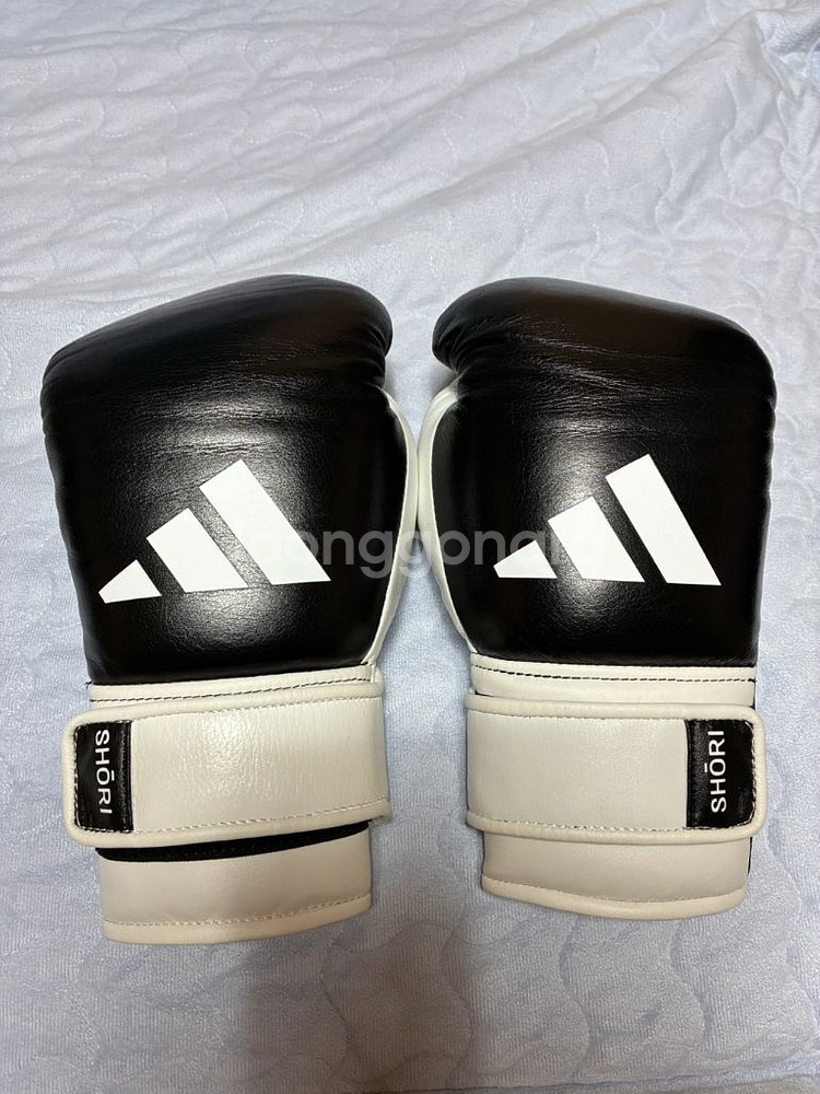 아디쇼리 12온스 블랙 벨크로--0