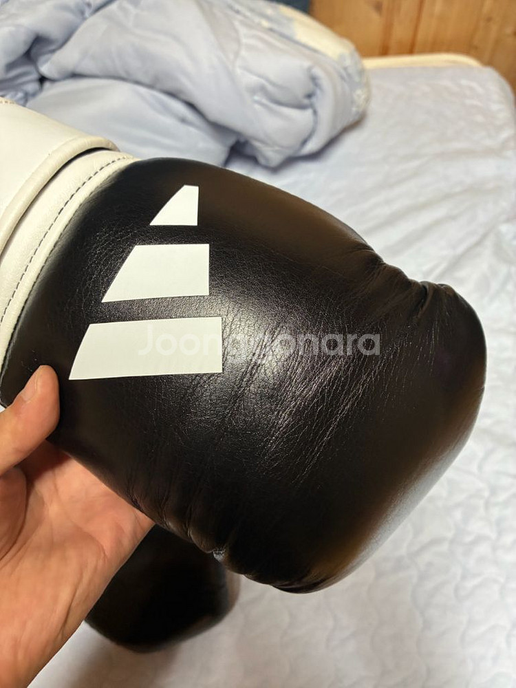 아디쇼리 12온스 블랙 벨크로--4