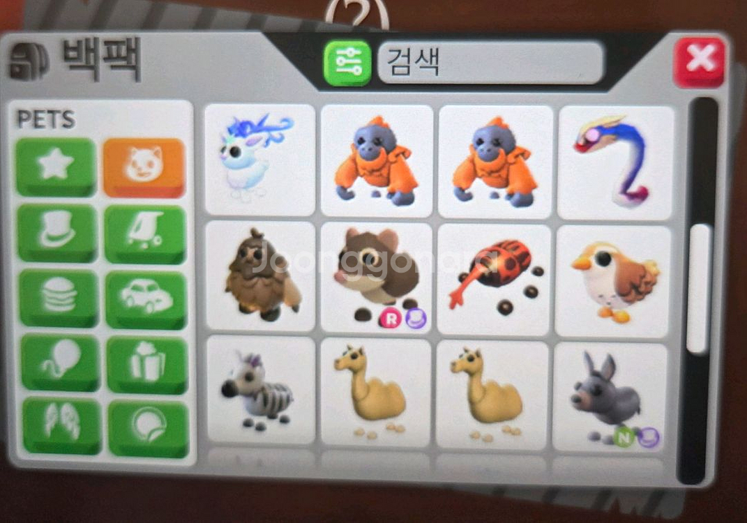 입양하세요 펫 판매 딸박,엘프쥐 등등--1