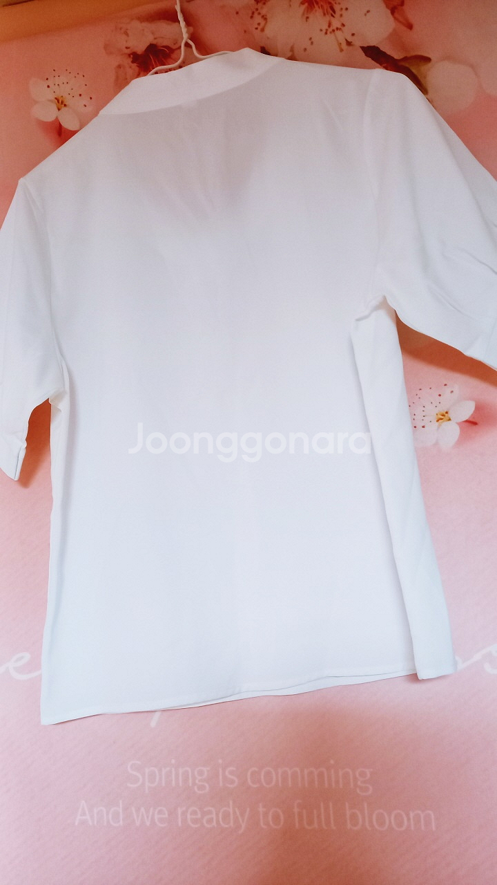 여성용 반팔 블라우스 쉬폰 리본 타이--3