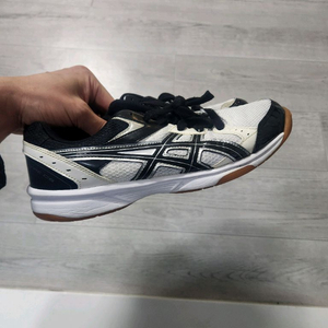 아식스 배구 체대입시화 260