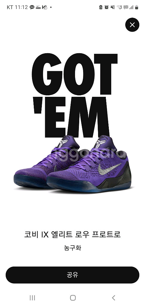 코비9 245 새제품--1