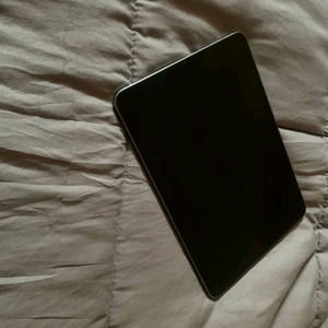 (아이패드에어4)