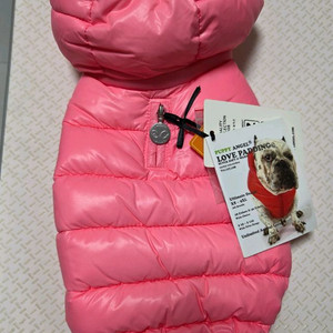 강아지 패딩점퍼 2종 세트