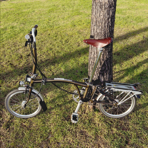 2022년식 브롬톤 C라인(블랙라커 색상) 6단 판매