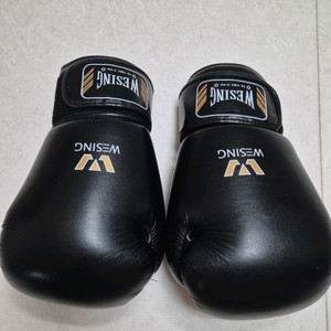 위싱 wbc 12온스 복싱글러브