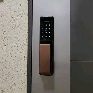 (부산/경남 무료설치)락프로 H5000S 푸시풀 도어락