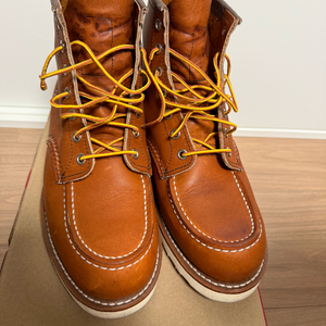 레드윙 목토 875 8E