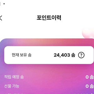 에버랜드 솜 24,000 포인트