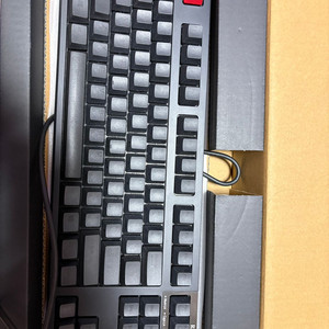 리얼포스 R2 PFU 에디션 45G 먹각