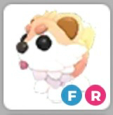 입양하세요 크립티드--0