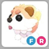 입양하세요 크립티드