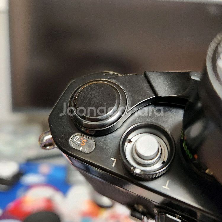 니콘 F2s + 50.4 렌즈 + 호돌이 스트랩--2