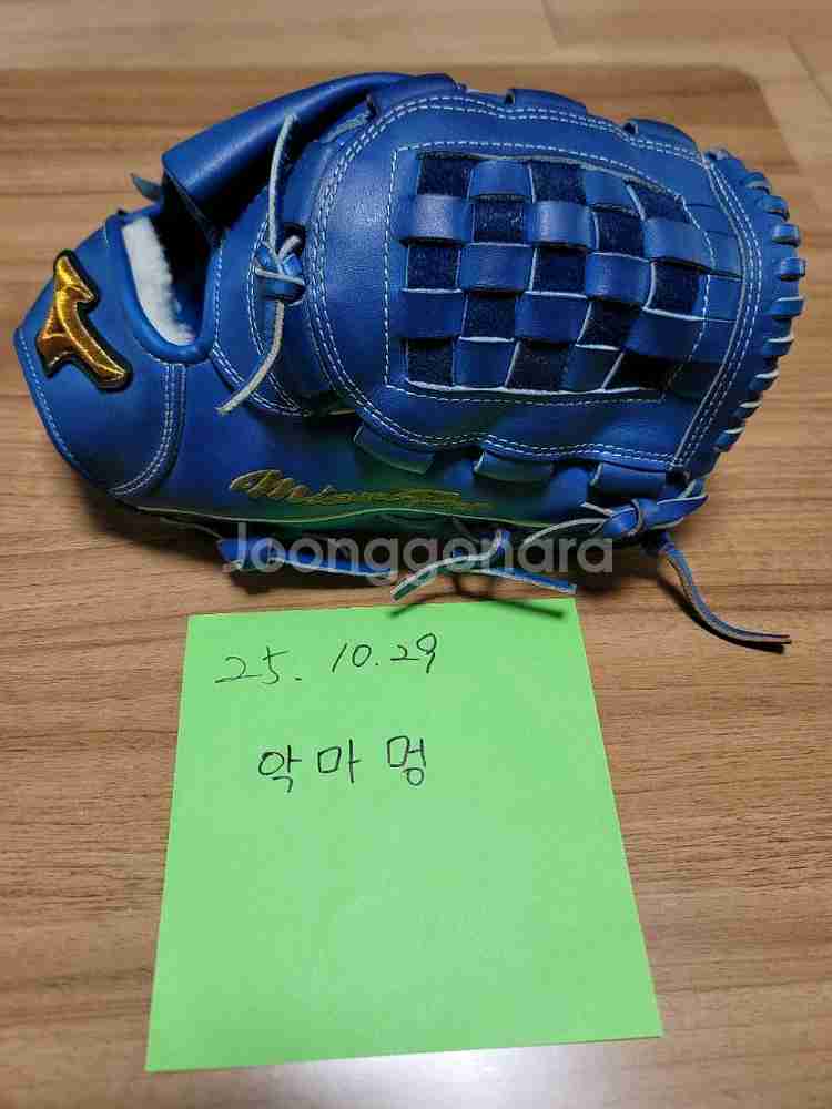 미즈노프로 오더글러브 투수용--0