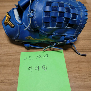 미즈노프로 오더글러브 투수용