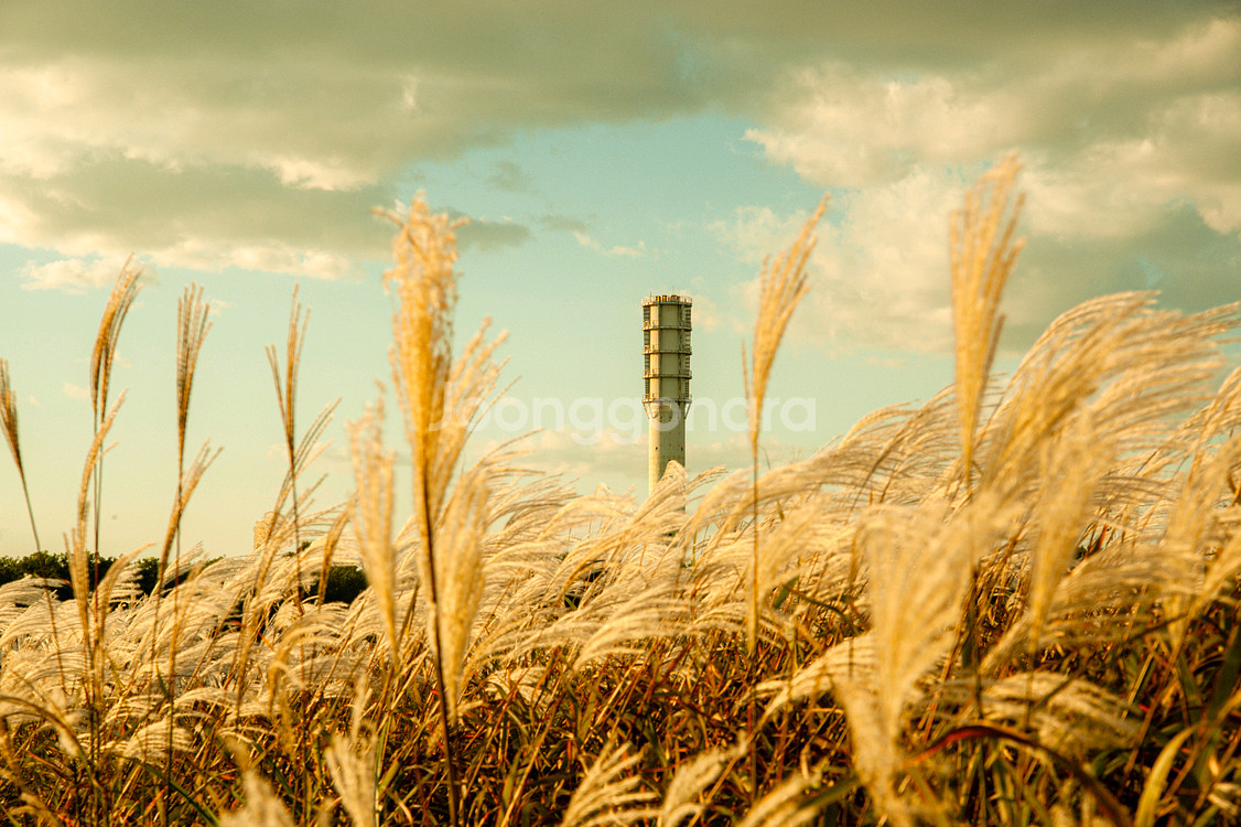 탐론 AF 28-200MM F3.8-5.6 줌렌즈 니콘--6