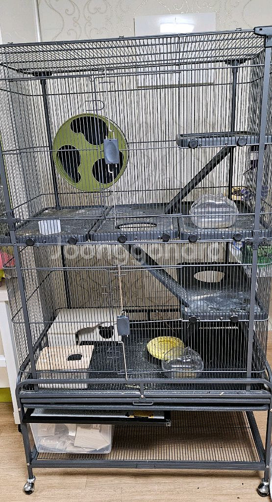 D672 케이지 대형 파충류 사육장--0