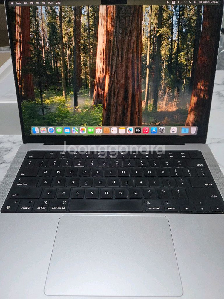 맥북 프로 14 M1 Pro 16GB 1테라 실버 영문자판--1