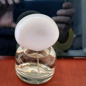 프래그먼츠 오브 썸머 향수