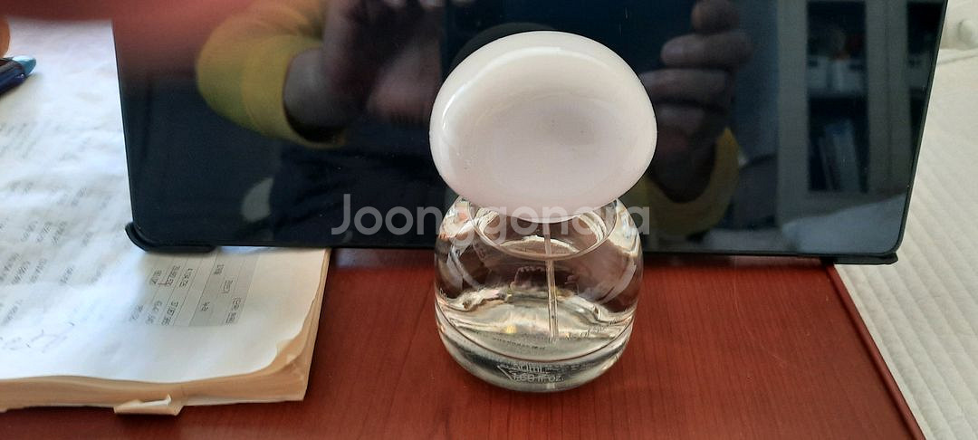 프래그먼츠 오브 썸머 향수--2