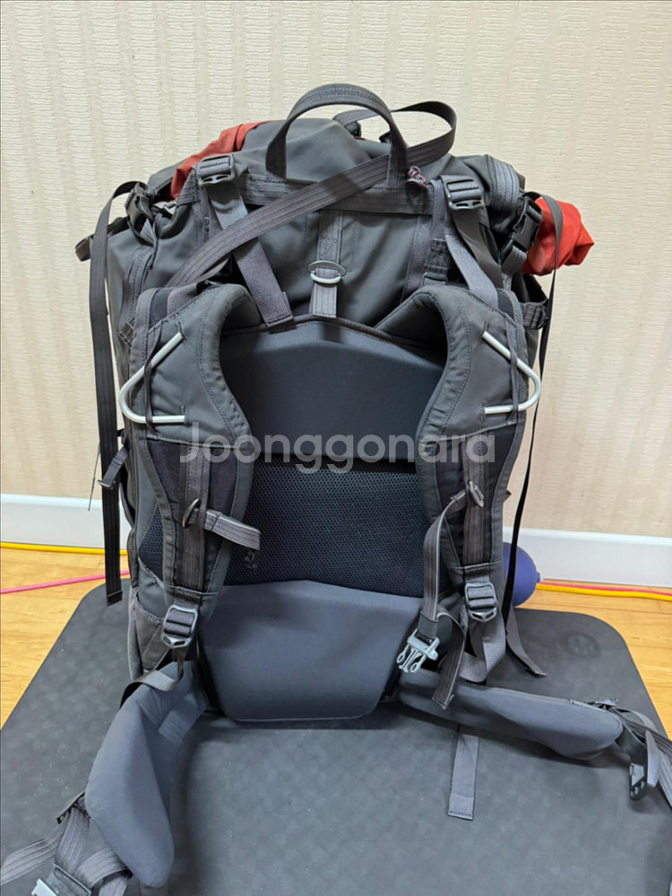 클라터뮤젬 토르 100--1