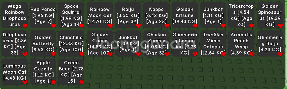 그어가 펫 급처--1