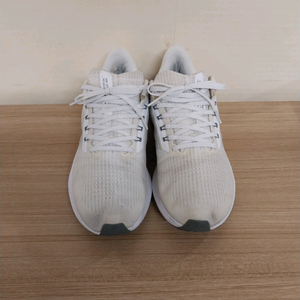 남성 나이키 에어줌 페가수스 39 런닝화,운동화 (265)